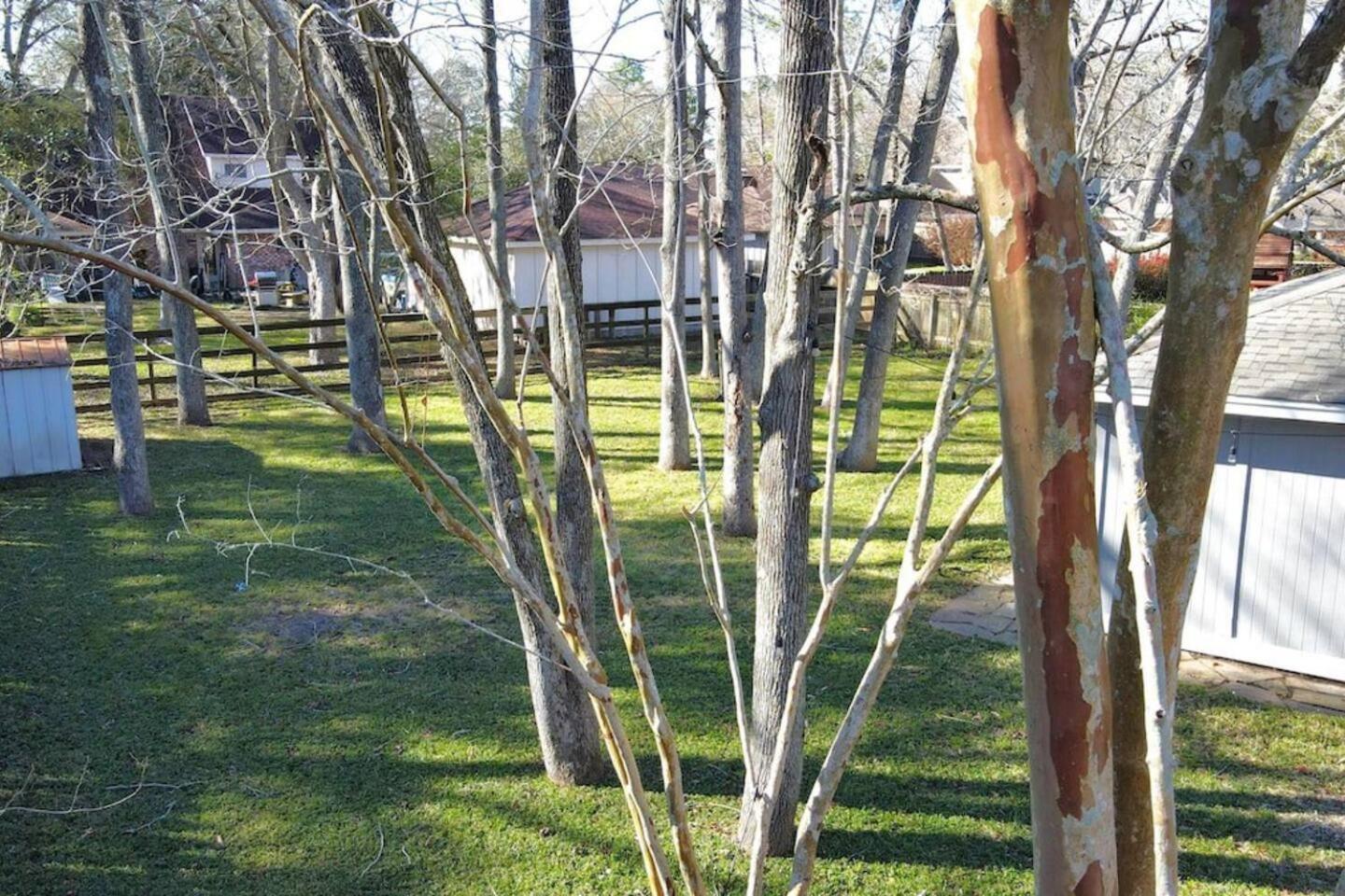 Вилла Sunmeadow Manor Retreat Friendswood Экстерьер фото